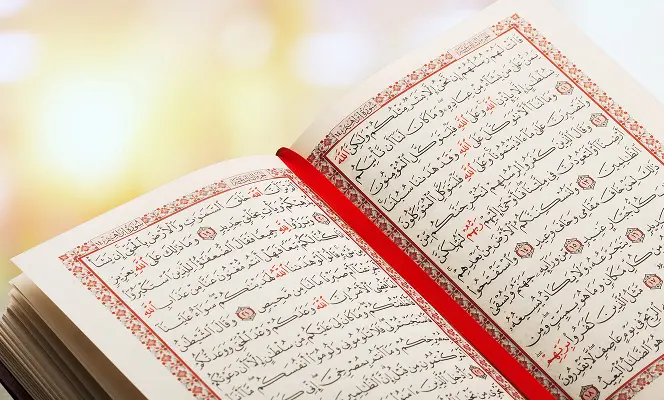 Quran Reading